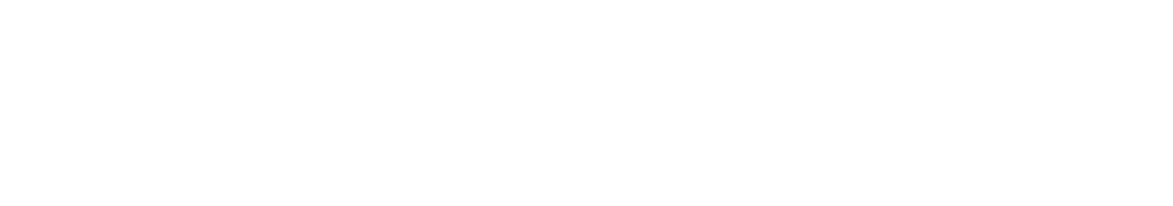 Powerfox Logo